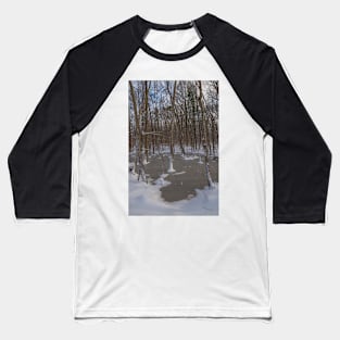 Tree and Ice Baseball T-Shirt